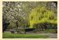 Preview: Frühling im Mainzer Stadtpark