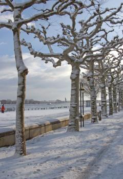 Winterliche Rheinpromenade