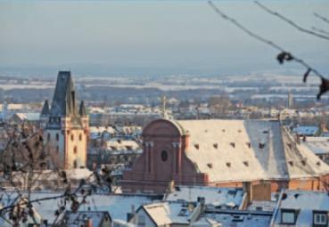 Morgendlicher Blick über Mainz