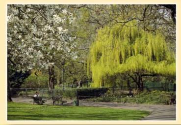Frühling im Mainzer Stadtpark
