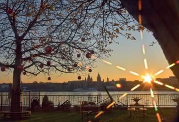Dezembersonne über Mainz am Rhein