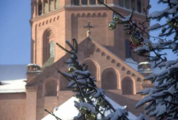 Verschneiter Weihnachtsbaum vor dem Mainzer Dom